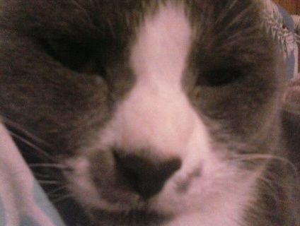 WillowminaL's profile picture. 