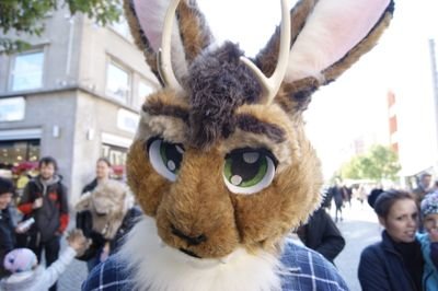 European hare/roe buck hybrid.
Fursuiter. Photographer. Urban Explorer.
Sometimes NSFW.
Very bad at smalltalk.

he/him - 42 - member of the fandom since 1997.