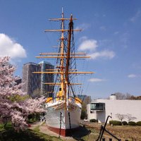 【公式】東京海洋大学 明治丸海事ミュージアム (@tumsatmeijimaru) 's Twitter Profile Photo 【公式】東京海洋大学 明治丸海事ミュージアム (@tumsatmeijimaru) 's Twitter Profile Photo