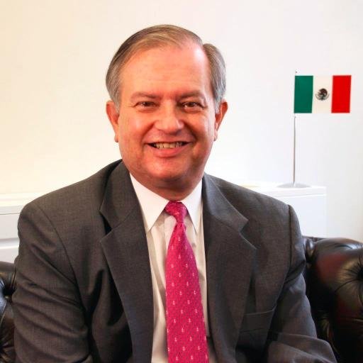 Cónsul General de México en Hong Kong y Macao. Miembro de carrera del Servicio Exterior Mexicano desde 1982, con rango de Embajador desde 2001.