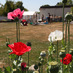 Farmers on 57th (@farmerson57th) Twitter profile photo Farmers on 57th (@farmerson57th) Twitter profile photo