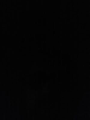 sarabia_vito's profile picture. 