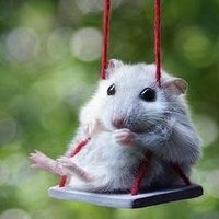 mikkimouse (@mikkimouse00) 's Twitter Profile