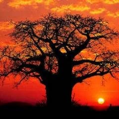 mercepuig2's profile picture. 