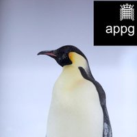 APPG Polar Regions (@appgpolar) 's Twitter Profile