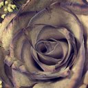 khaled alenazi (@0561_kh) Twitter