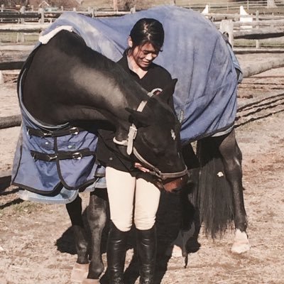 CatoLovesEmma's profile picture. JAC- Majesty 2015-2016                        Taylor Made Farm Finn