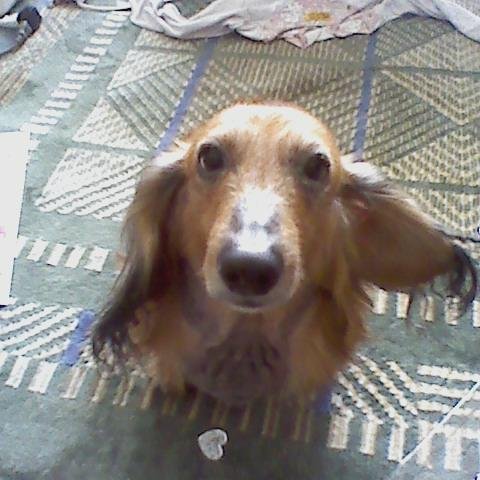 kandatom's profile picture. 交野市在住、寝屋川市出身。