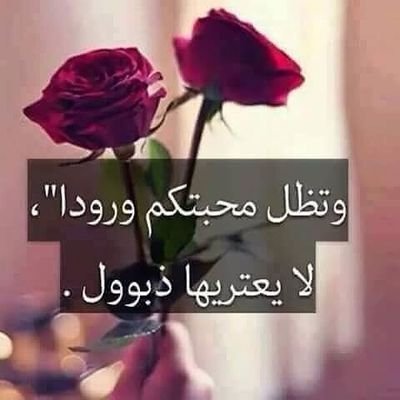 5926EE6D     تعالو بي بي   ‏‏‏باغلق هالحساب