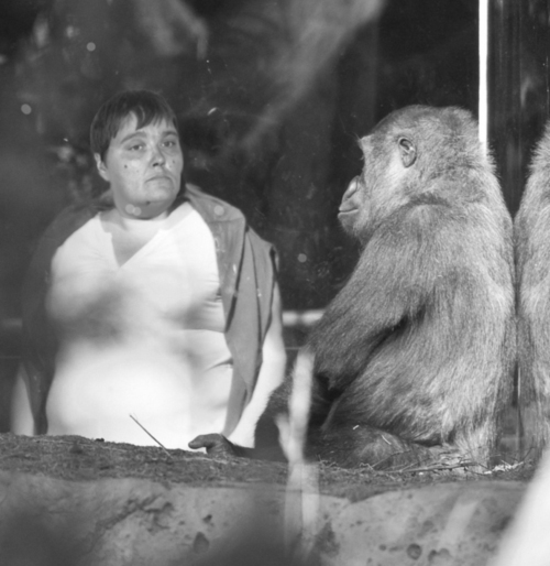 Sue_Bender's profile picture. There's a pork chop in my diaper.