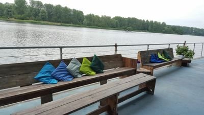 manhhop1207's profile picture. 