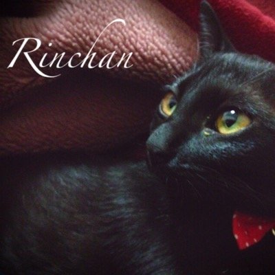 りんちゃん. (@Rinchan_re09) / Posts / X