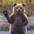 Image de profil de flashmcbear