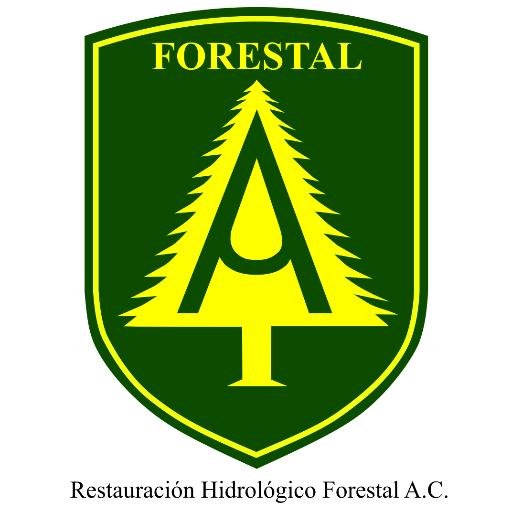 Somos una organización conformada por personas comprometidas con la conservación y aprovechamiento sostenible de los bosques y los recursos hídricos de México.