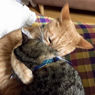 1965_1029's profile picture. 