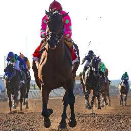 Official twitter page for the @SPRacino media department: follow for updates on the meet, G3 #SunlandDerby & #SUNOaks on the road to #KyDerby & #KyOaks