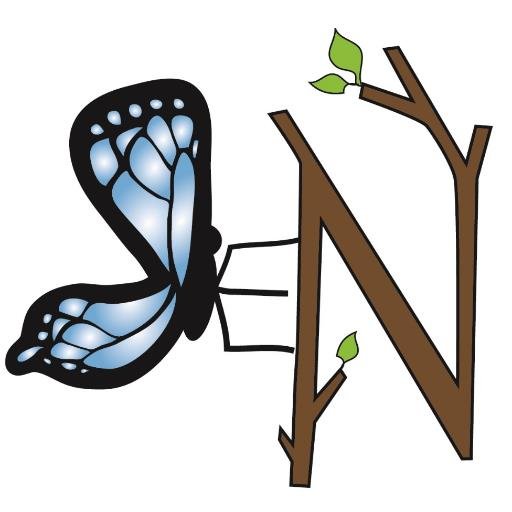 lexicalcreation's profile picture. Reader/Writer who loves children inside & out of books. Also STEM, Econ, and History! My fave writing groups you could join: SCBWI, Storystorm, CBA, CBI, 12X12