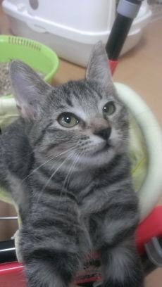 you_gmail_user's profile picture. 各種レビューやってます🤭
Amazon／楽天／aupayマーケット
PayPalアカウントあります。