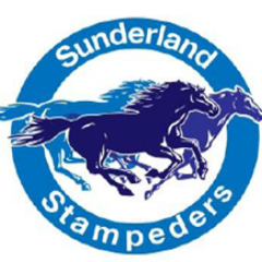 SunderlandPS's profile picture. Building Future Success on a Solid Foundation!