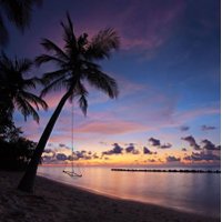 الحمدلله (@al3ali_rtw) 's Twitter Profile