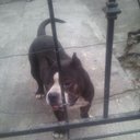 Karol Casas - @karolcasas9 - Twitter