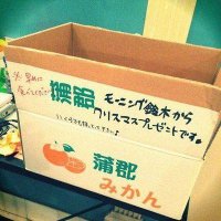 ハコオシ (@hako_hello) 's Twitter Profile