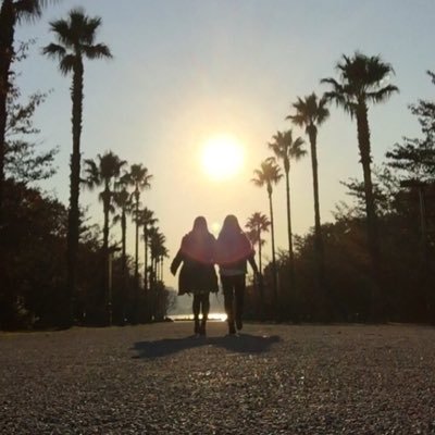 scope009's profile picture. 文学/浜西→清泉(日文)→都内SE