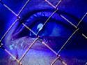 Beginning to research trafficking patterns. Special focus: Mexico to S Florida.