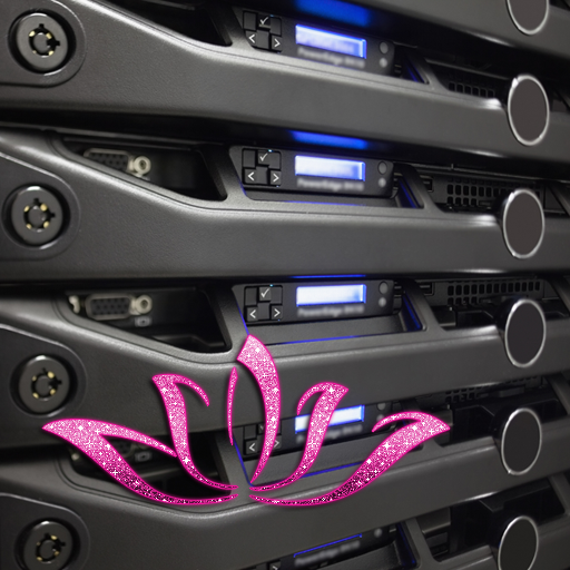 The Best Vietnam Dedicated Server Hosting | Powerful, Fastest Connection in Vietnam, Asia & USA | Money Back Guarantee