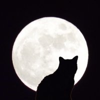 JenL (@nextjen13) 's Twitter Profile