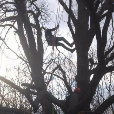 A business specialising in Landscaping, Tree Work & Grounds Maintenance in the Essex and East Anglia region. For queries contact ben@handscapehorticulture.com
