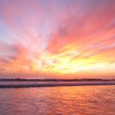 KimMoxHornsby's profile picture. 