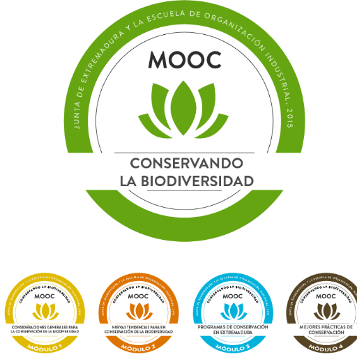 jbernaez6's profile picture. 