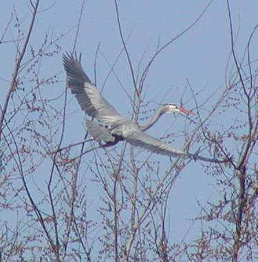 Brandonm2222's profile picture. Reporter covering Alabama politics and current events for https://t.co/1SvLgspPks