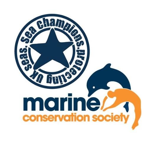 Sea Champions is a national volunteer initiative run by the Marine Conservation Society working to protect our seas, shores and wildlife.
