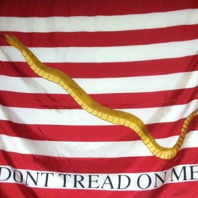 BillSchmon's profile picture. 