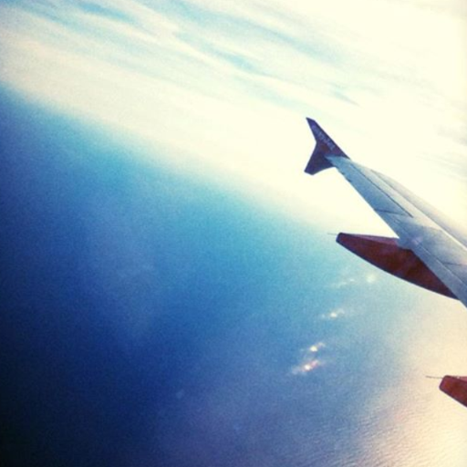 Nicola_Shanahan's profile picture. 