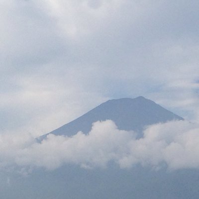 137027's profile picture. 