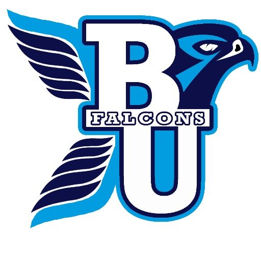 The official Twitter feed for Bournemouth University's award-winning, competitive cheerleading team, the BU Falcons.