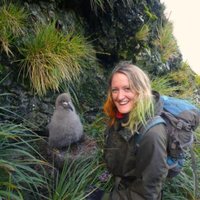 Lucy Quinn (@lucy_seabirds) 's Twitter Profile