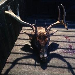 Just LOVE being in the woods. Hunting is my passion.