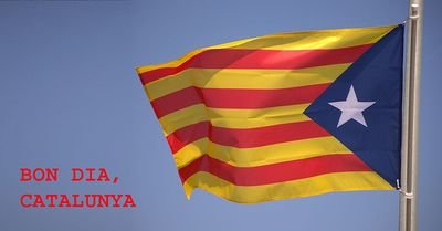 RicardSoria's profile picture. 