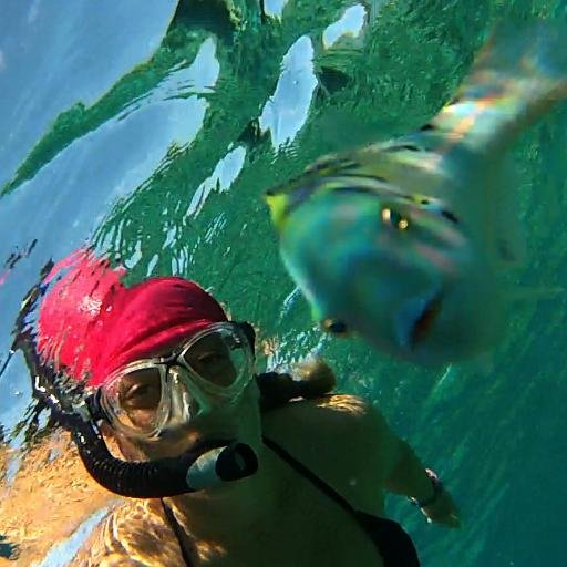 CleopatraBrowne's profile picture. Official Twitter page of Cleopatra Browne. Business owner & Coasteering Guide, I thrive on adventurous Marketing & Commerce • @CQCoasteering