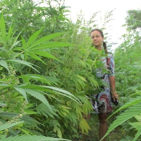 GrowHempCo's profile picture. First female #Hemp farmer in #USA - Consulting & all things hemp including AOSCA certified hemp seeds. We take #BitCoin https://t.co/cb4KfUBHtH