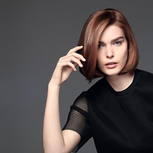 Goldwell, KMS California, Surface, Amika and other Goldwell NY brands all help salon owners and stylists to offer their customers the ultimate in hair care!