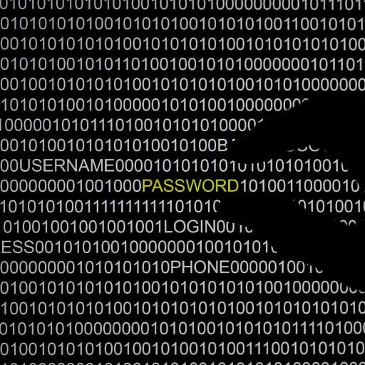 Anonymous_WH_TX's profile picture. #Hacktivist