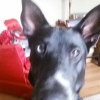 kberd (@keithberding) 's Twitter Profile