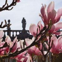 Abbaye de Trois-Fontaines (@abbaye3f) 's Twitter Profile
