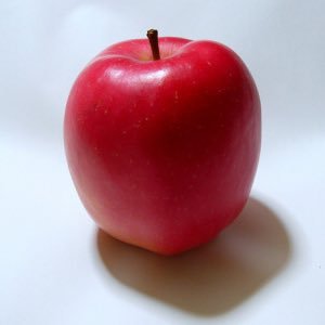 mgmg_Apple_mgmg Profile Picture