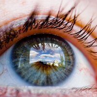 Conserv Cali (@conservcali) 's Twitter Profile